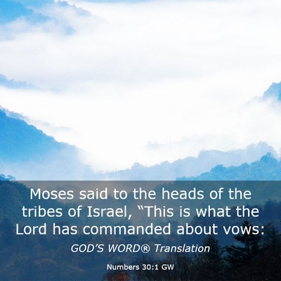 Picture 03 - Numbers 30:1 GW - Moses said to the heads of the tribes of Israel, - Bible Verse Picture