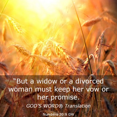 Picture 03 - Numbers 30:9 GW - “But a widow or a divorced woman must keep her - Bible Verse Picture