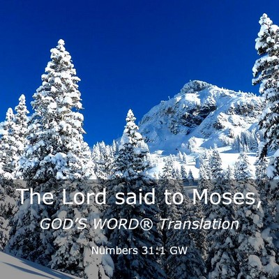 Picture 03 - Numbers 31:1 GW - The Lord said to - Bible Verse Picture