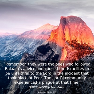 Picture 03 - Numbers 31:16 GW - “Remember, they were the ones who followed - Bible Verse Picture