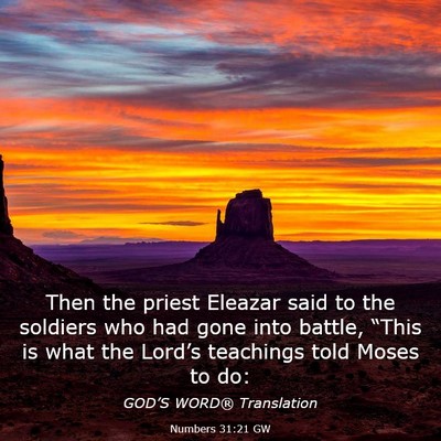 Picture 03 - Numbers 31:21 GW - Then the priest Eleazar said to the soldiers who - Bible Verse Picture