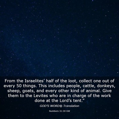 Picture 03 - Numbers 31:30 GW - From the Israelites’ half of the loot, collect - Bible Verse Picture