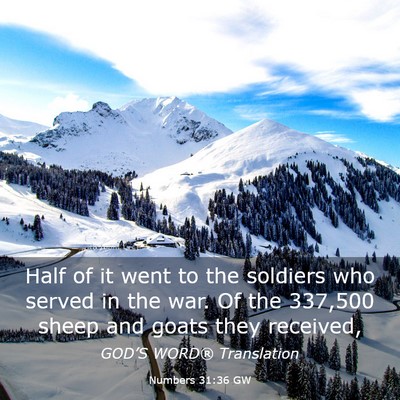 Picture 03 - Numbers 31:36 GW - Half of it went to the soldiers who served in the - Bible Verse Picture