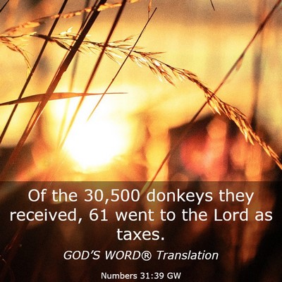 Picture 03 - Numbers 31:39 GW - Of the 30,500 donkeys they received, 61 went to - Bible Verse Picture