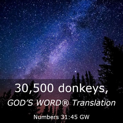 Picture 03 - Numbers 31:45 GW - 30,500 - Bible Verse Picture