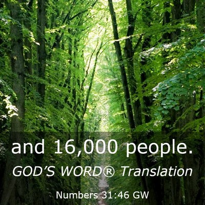 Picture 03 - Numbers 31:46 GW - and 16,000 - Bible Verse Picture