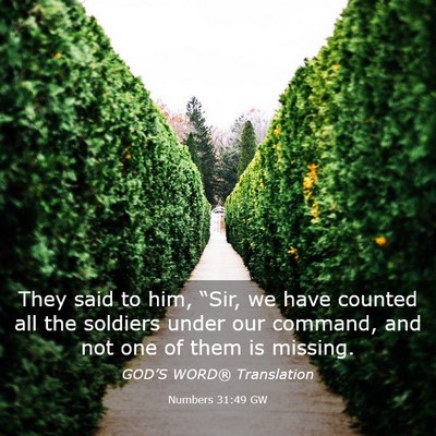 Picture 03 - Numbers 31:49 GW - They said to him, “Sir, we have counted all the - Bible Verse Picture
