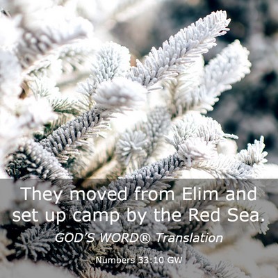 Picture 03 - Numbers 33:10 GW - They moved from Elim and set up camp by the Red - Bible Verse Picture