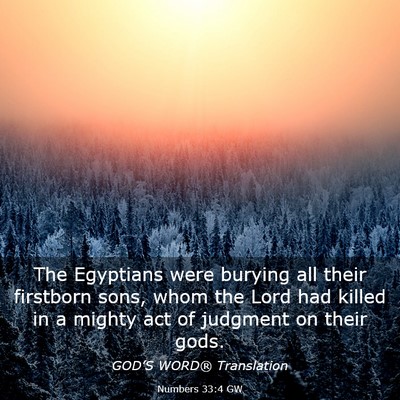 Picture 03 - Numbers 33:4 GW - The Egyptians were burying all their firstborn - Bible Verse Picture