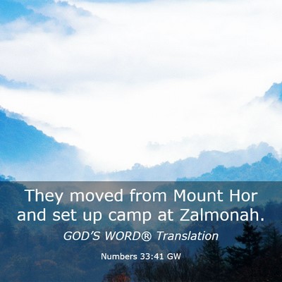 Picture 03 - Numbers 33:41 GW - They moved from Mount Hor and set up camp at - Bible Verse Picture