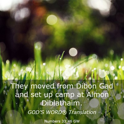 Picture 03 - Numbers 33:46 GW - They moved from Dibon Gad and set up camp at - Bible Verse Picture
