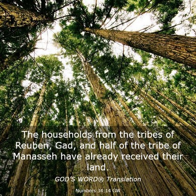 Picture 03 - Numbers 34:14 GW - The households from the tribes of Reuben, Gad, - Bible Verse Picture