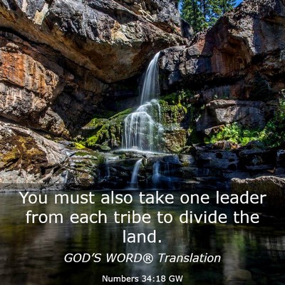 Picture 03 - Numbers 34:18 GW - You must also take one leader from each tribe to - Bible Verse Picture