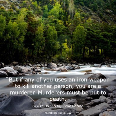 Picture 03 - Numbers 35:16 GW - “But if any of you uses an iron weapon to kill - Bible Verse Picture