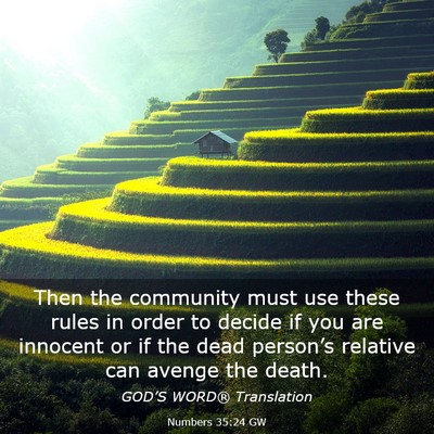 Picture 03 - Numbers 35:24 GW - Then the community must use these rules in order - Bible Verse Picture