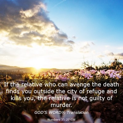 Picture 03 - Numbers 35:27 GW - If the relative who can avenge the death finds - Bible Verse Picture