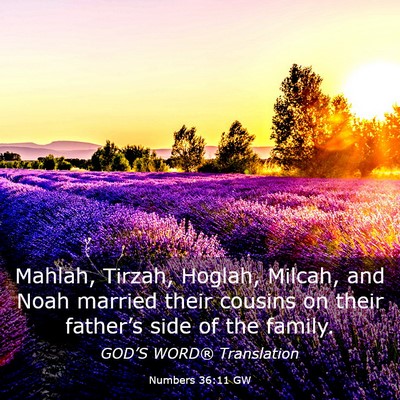 Picture 03 - Numbers 36:11 GW - Mahlah, Tirzah, Hoglah, Milcah, and Noah married - Bible Verse Picture