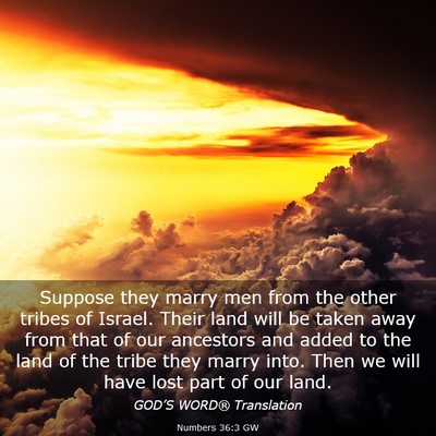Picture 03 - Numbers 36:3 GW - Suppose they marry men from the other tribes of - Bible Verse Picture