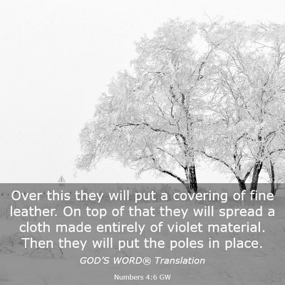 Picture 03 - Numbers 4:6 GW - Over this they will put a covering of fine - Bible Verse Picture