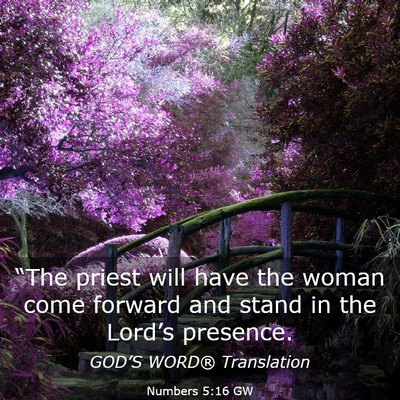 Picture 03 - Numbers 5:16 GW - “The priest will have the woman come forward - Bible Verse Picture