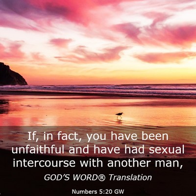 Picture 03 - Numbers 5:20 GW - If, in fact, you have been unfaithful and have - Bible Verse Picture