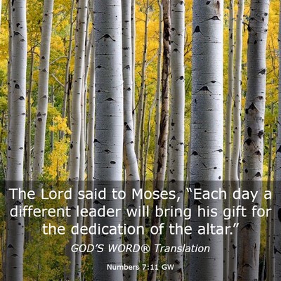 Picture 03 - Numbers 7:11 GW - The Lord said to Moses, “Each day a different - Bible Verse Picture