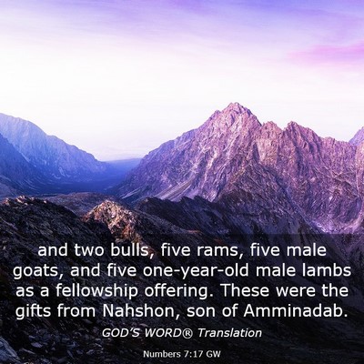 Picture 03 - Numbers 7:17 GW - and two bulls, five rams, five male goats, and - Bible Verse Picture