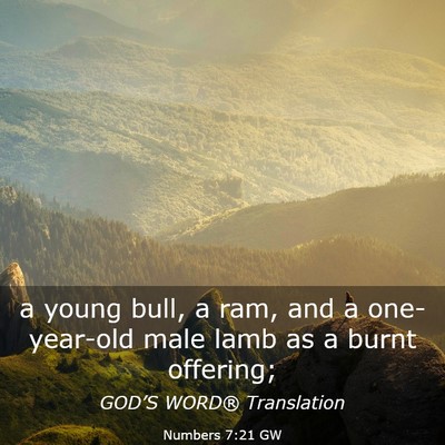 Picture 03 - Numbers 7:21 GW - a young bull, a ram, and a one-year-old male lamb - Bible Verse Picture