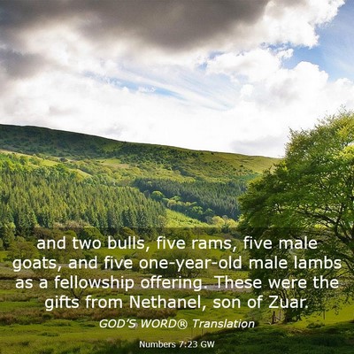 Picture 03 - Numbers 7:23 GW - and two bulls, five rams, five male goats, and - Bible Verse Picture