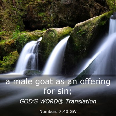 Picture 03 - Numbers 7:40 GW - a male goat as an offering for - Bible Verse Picture