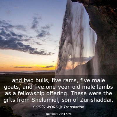 Picture 03 - Numbers 7:41 GW - and two bulls, five rams, five male goats, and - Bible Verse Picture