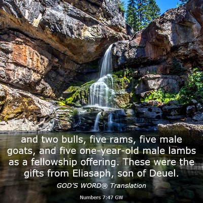 Picture 03 - Numbers 7:47 GW - and two bulls, five rams, five male goats, and - Bible Verse Picture