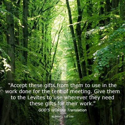 Picture 03 - Numbers 7:5 GW - “Accept these gifts from them to use in the - Bible Verse Picture