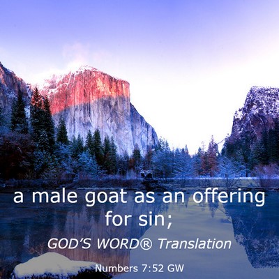 Picture 03 - Numbers 7:52 GW - a male goat as an offering for - Bible Verse Picture