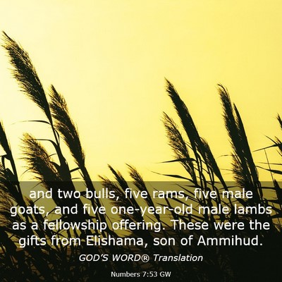 Picture 03 - Numbers 7:53 GW - and two bulls, five rams, five male goats, and - Bible Verse Picture