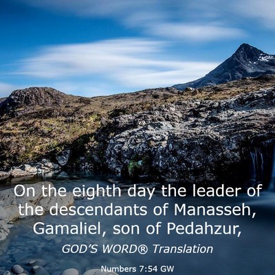 Picture 03 - Numbers 7:54 GW - On the eighth day the leader of the descendants - Bible Verse Picture