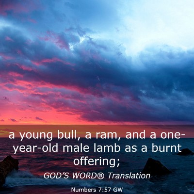 Picture 03 - Numbers 7:57 GW - a young bull, a ram, and a one-year-old male lamb - Bible Verse Picture