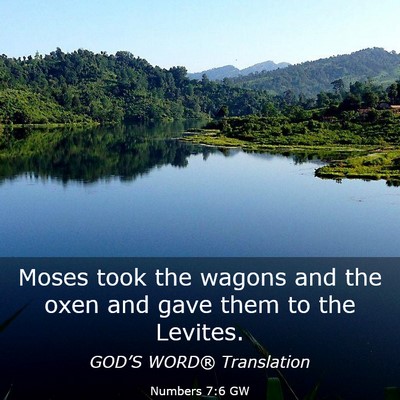Picture 03 - Numbers 7:6 GW - Moses took the wagons and the oxen and gave them - Bible Verse Picture