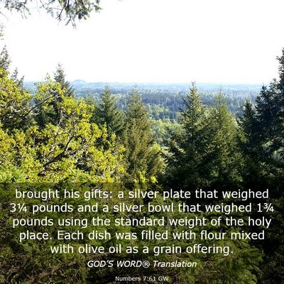 Picture 03 - Numbers 7:61 GW - brought his gifts: a silver plate that weighed - Bible Verse Picture
