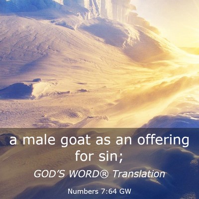 Picture 03 - Numbers 7:64 GW - a male goat as an offering for - Bible Verse Picture
