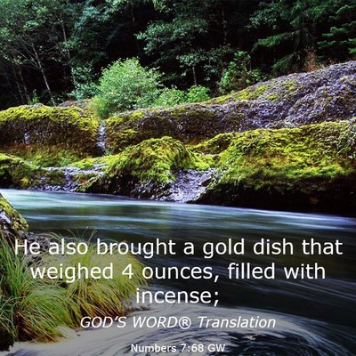 Picture 03 - Numbers 7:68 GW - He also brought a gold dish that weighed 4 - Bible Verse Picture