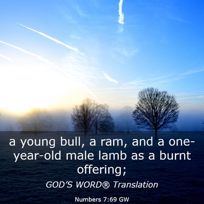 Picture 03 - Numbers 7:69 GW - a young bull, a ram, and a one-year-old male lamb - Bible Verse Picture