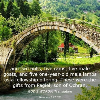 Picture 03 - Numbers 7:77 GW - and two bulls, five rams, five male goats, and - Bible Verse Picture