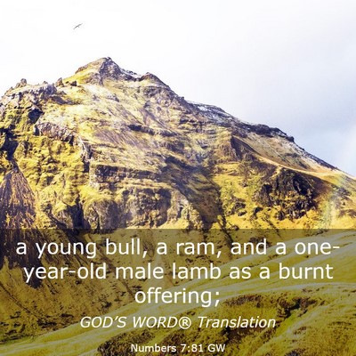 Picture 03 - Numbers 7:81 GW - a young bull, a ram, and a one-year-old male lamb - Bible Verse Picture