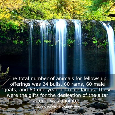 Picture 03 - Numbers 7:88 GW - The total number of animals for fellowship - Bible Verse Picture