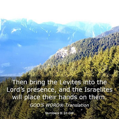 Picture 03 - Numbers 8:10 GW - Then bring the Levites into the Lord’s - Bible Verse Picture