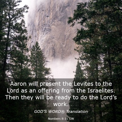 Picture 03 - Numbers 8:11 GW - Aaron will present the Levites to the Lord as an - Bible Verse Picture