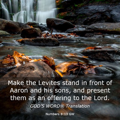 Picture 03 - Numbers 8:13 GW - Make the Levites stand in front of Aaron and his - Bible Verse Picture