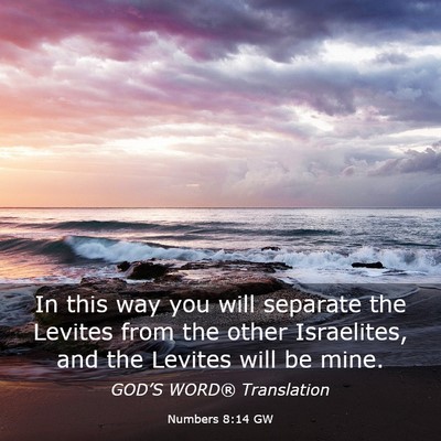 Picture 03 - Numbers 8:14 GW - In this way you will separate the Levites from - Bible Verse Picture