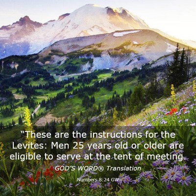 Picture 03 - Numbers 8:24 GW - “These are the instructions for the Levites: - Bible Verse Picture
